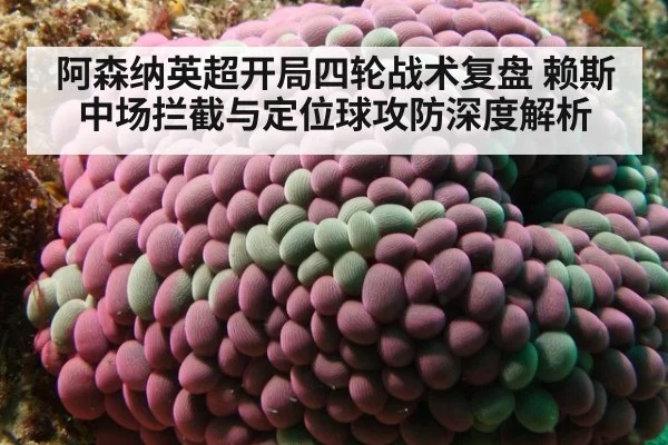 阿森纳英超开局四轮战术复盘 赖斯中场拦截与定位球攻防深度解析