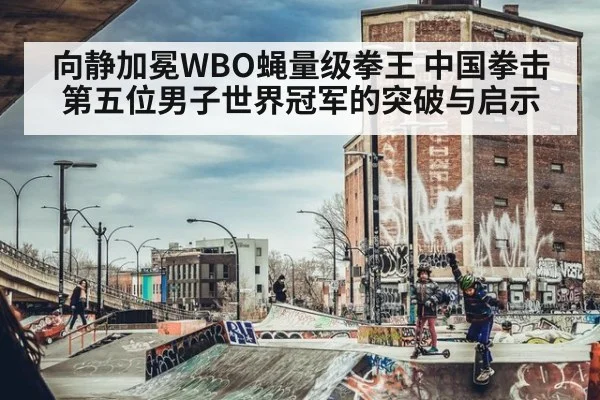 向静加冕WBO蝇量级拳王 中国拳击第五位男子世界冠军的突破与启示