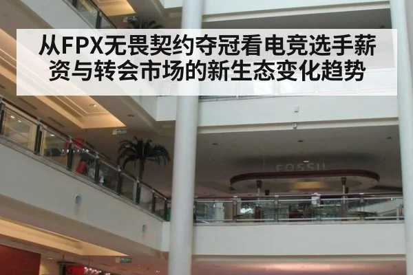 从FPX无畏契约夺冠看电竞选手薪资与转会市场的新生态变化趋势